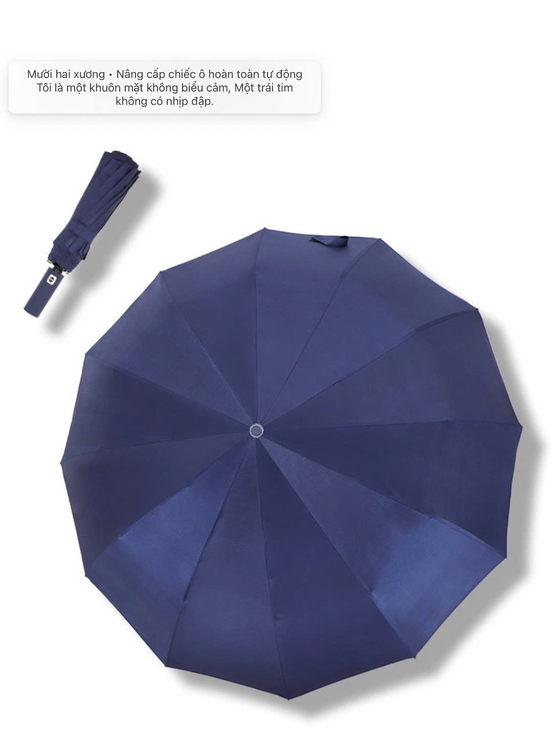 Ô Dù Tự Động Cao Cấp 12 Nan
